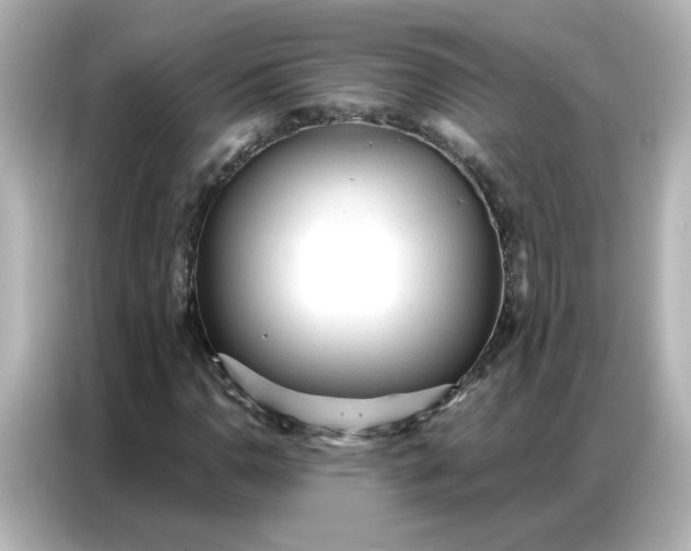 X0000086931110200704301111