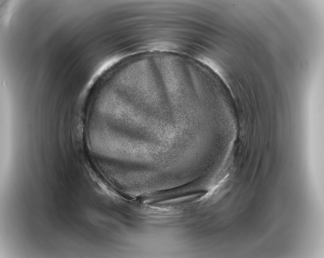 X0000086931115200704301111