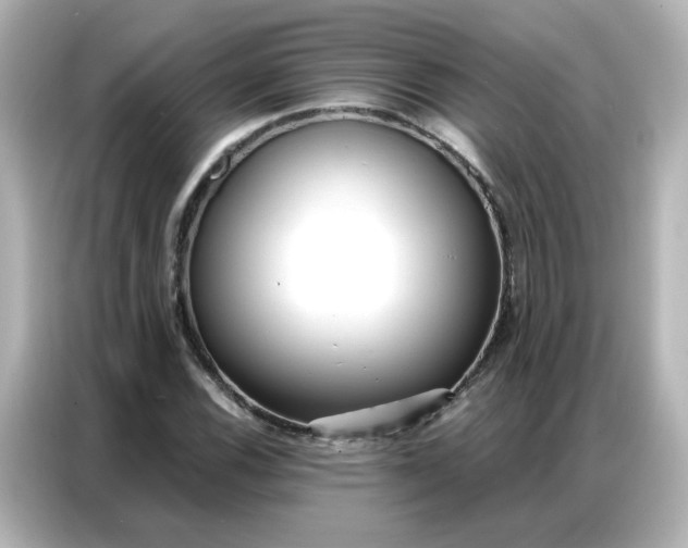 X0000086931116200704301111