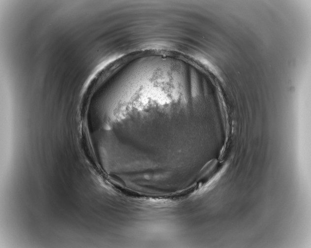 X0000086931117200704301111