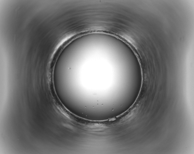 X0000086931119200704301111