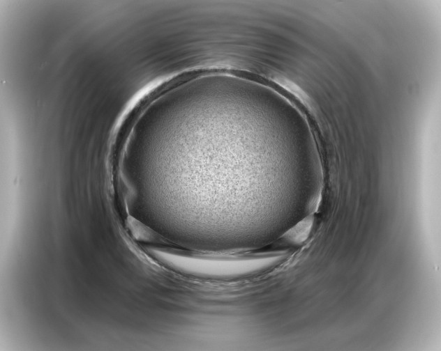 X0000086931120200704301111