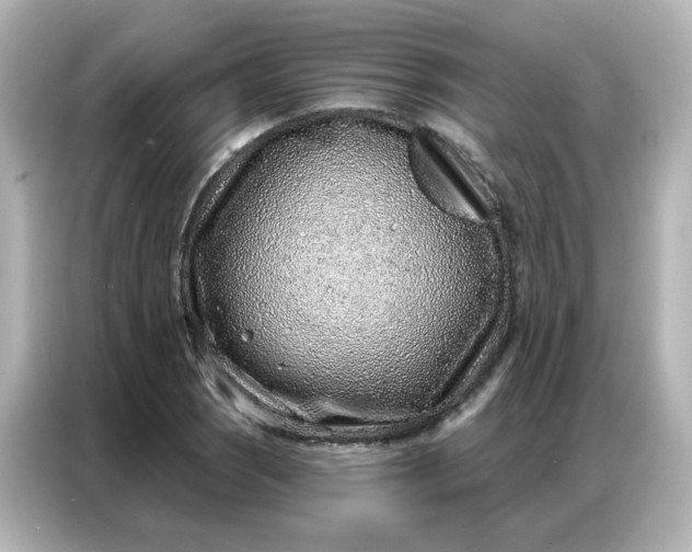 X0000086931121200704301111