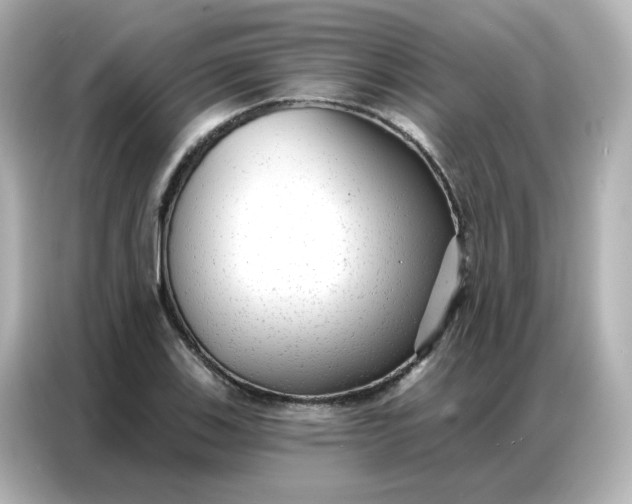 X0000086931123200704301112