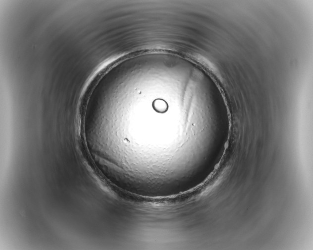 X0000086931125200704301112