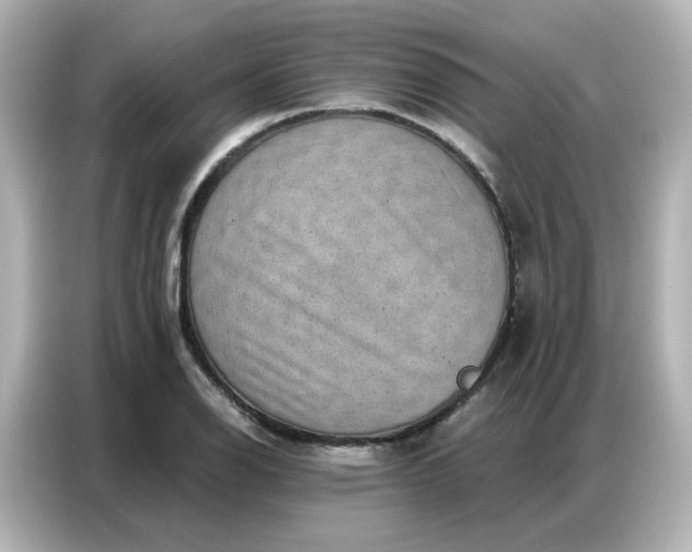 X0000086931126200704301112