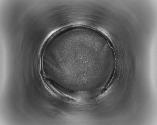 X0000086931127200704301112