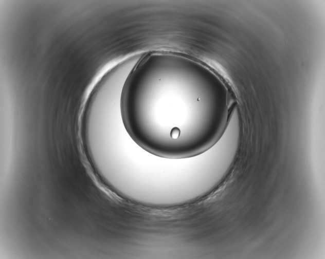 X0000086931128200704301112