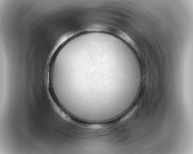 X0000086931130200704301112