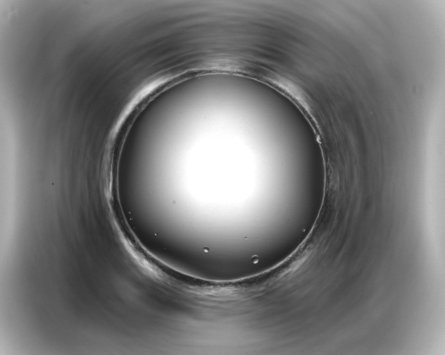 X0000086931131200704301112