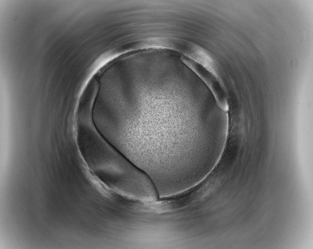 X0000086931132200704301112