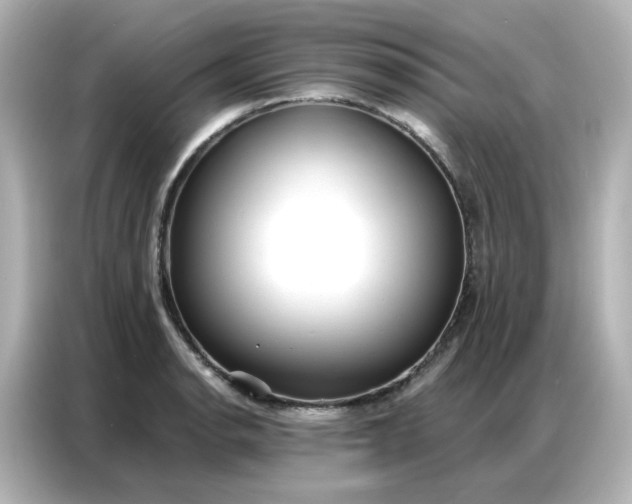 X0000086931134200704301112