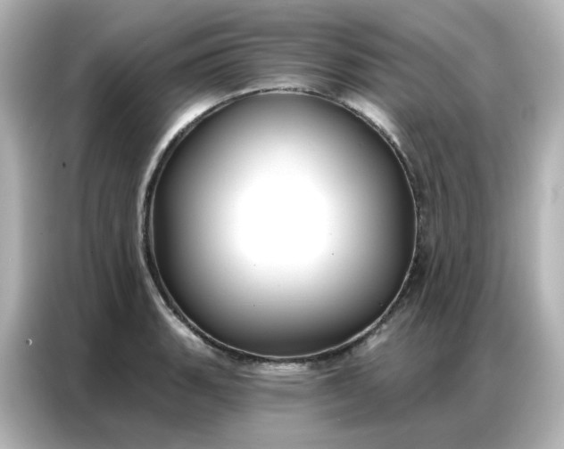 X0000086931135200704301112