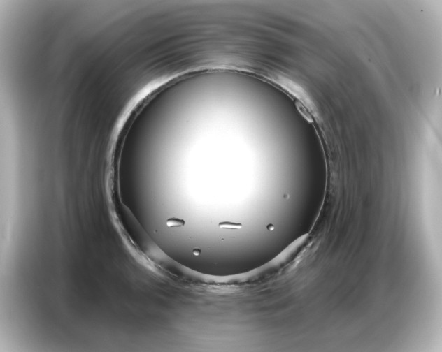 X0000086931136200704301112