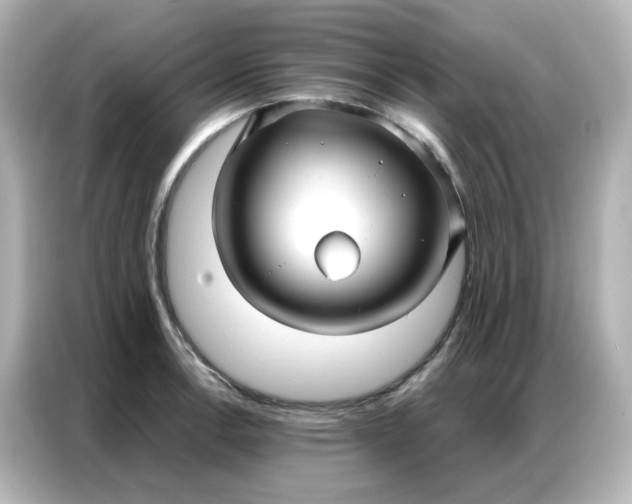 X0000086931138200704301112