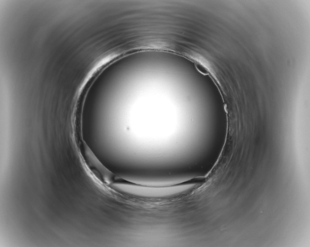 X0000086931139200704301112