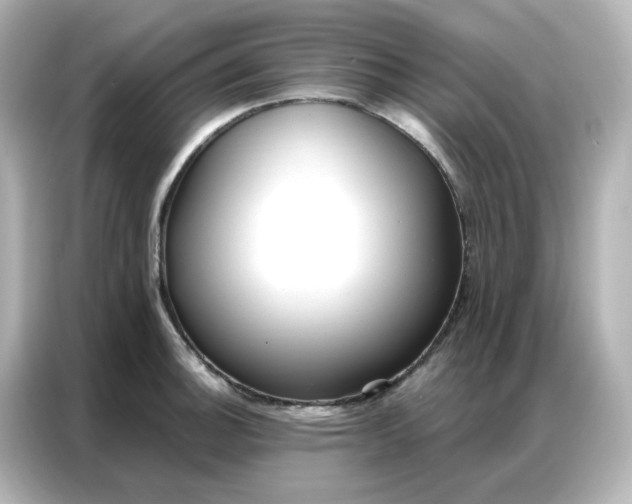 X0000086931140200704301112