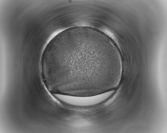 X0000086931141200704301112