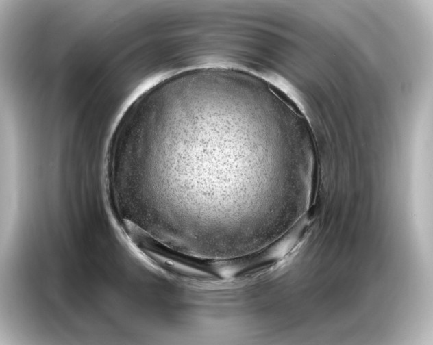 X0000086931142200704301112