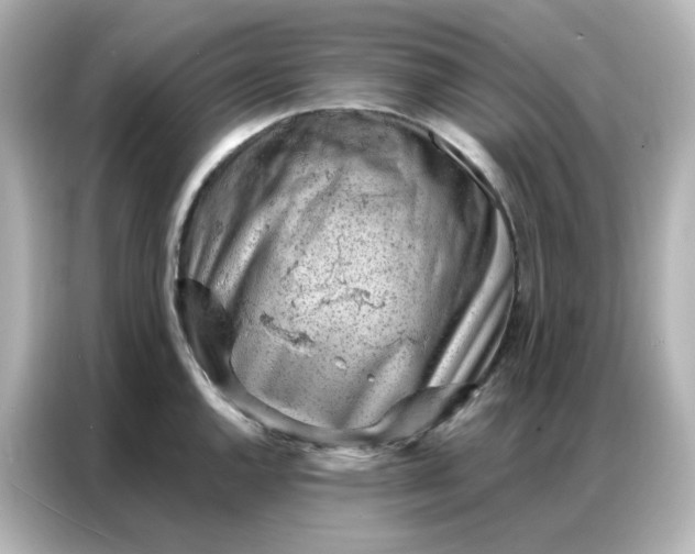 X0000086931144200704301112