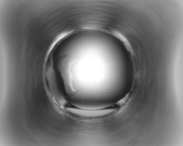 X0000086931146200704301112