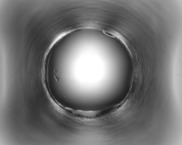 X0000086931147200704301112