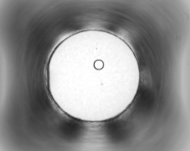 X0000086931150200704301112