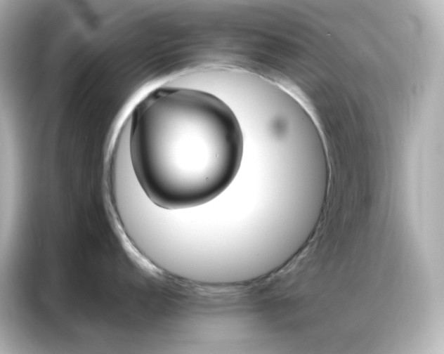 X0000086931152200704301112