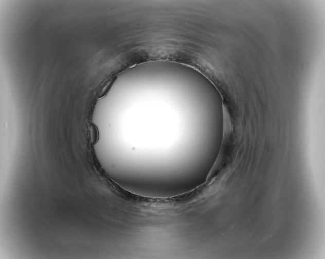 X0000086931153200704301111