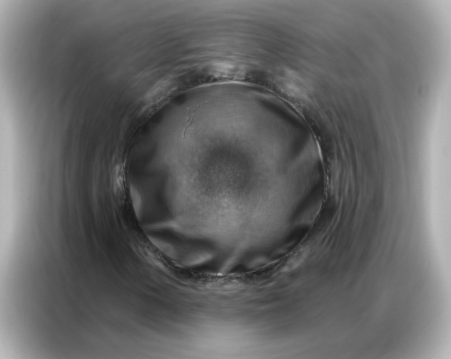 X0000086931154200704301111