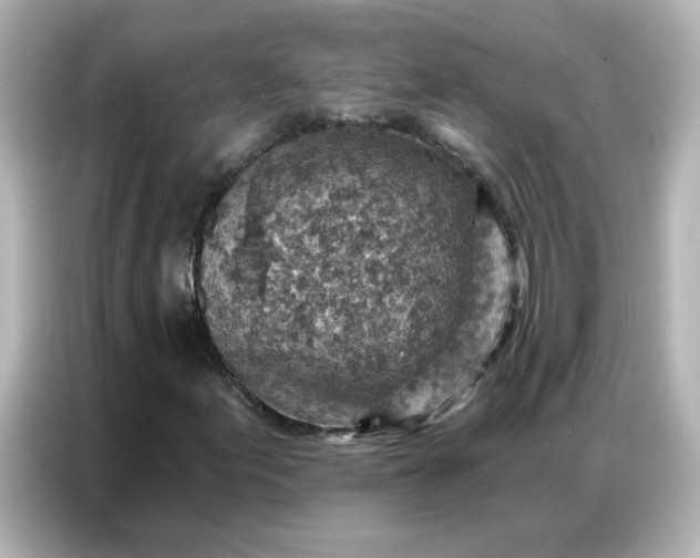 X0000086931155200704301111