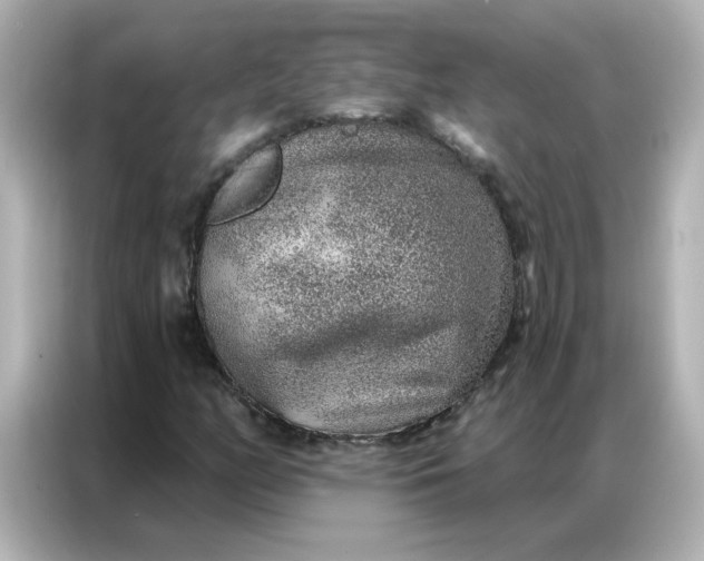 X0000086931158200704301111