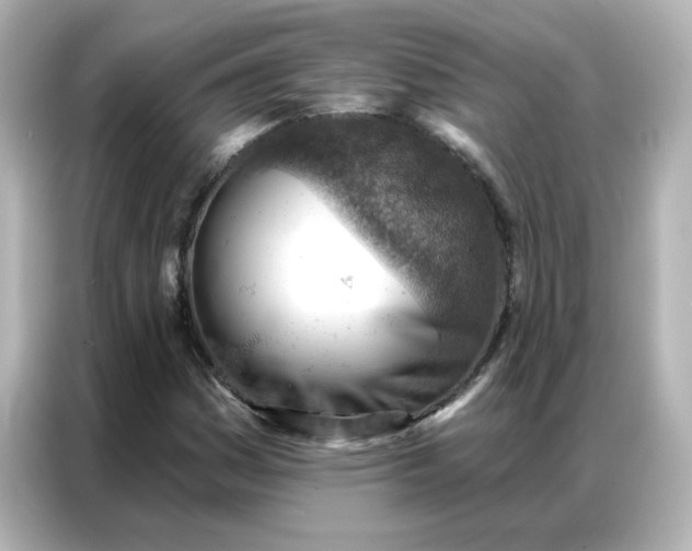 X0000086931161200704301111