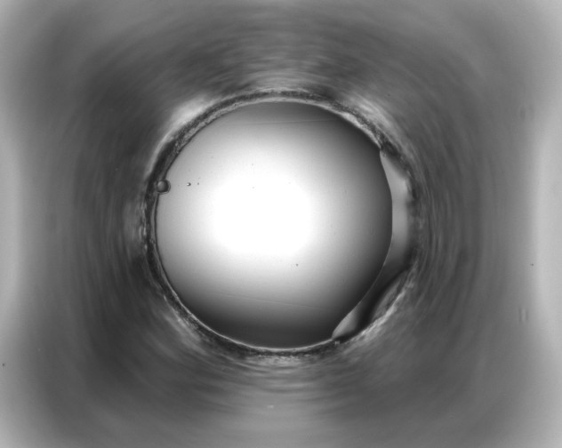 X0000086931164200704301111