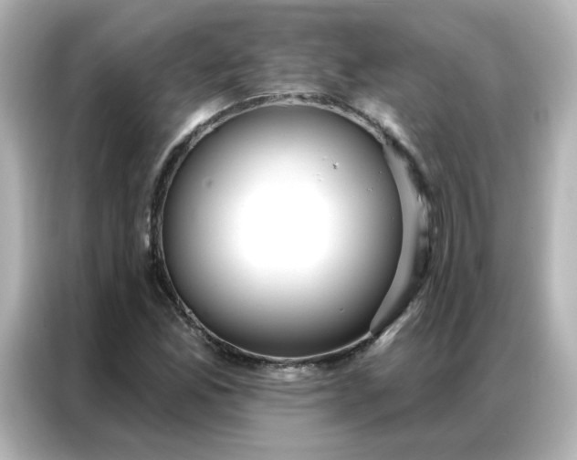 X0000086931165200704301111