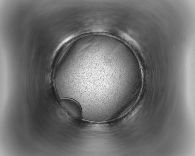 X0000086931166200704301111