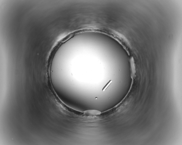 X0000086931168200704301111