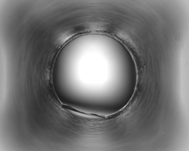 X0000086931169200704301111