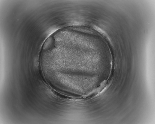 X0000086931170200704301111