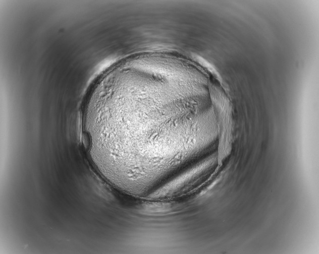 X0000086931171200704301111