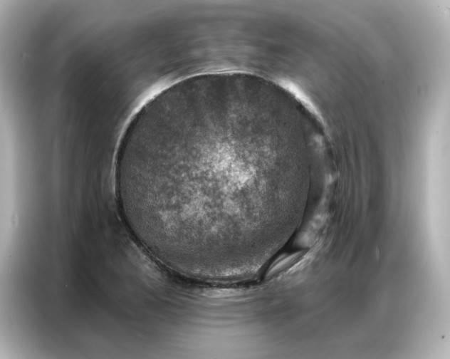 X0000086931173200704301111