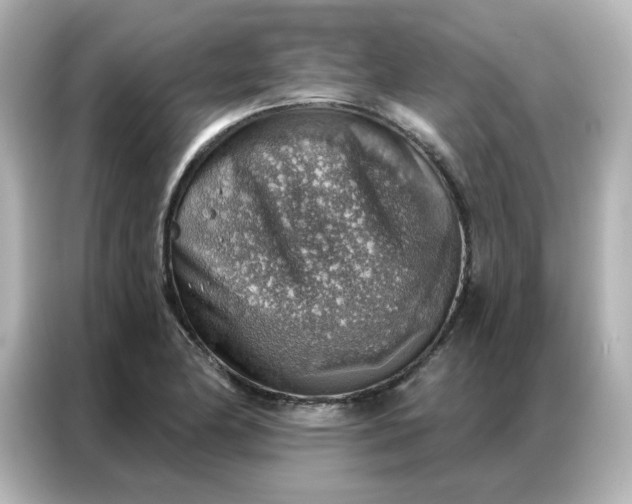 X0000086931174200704301111