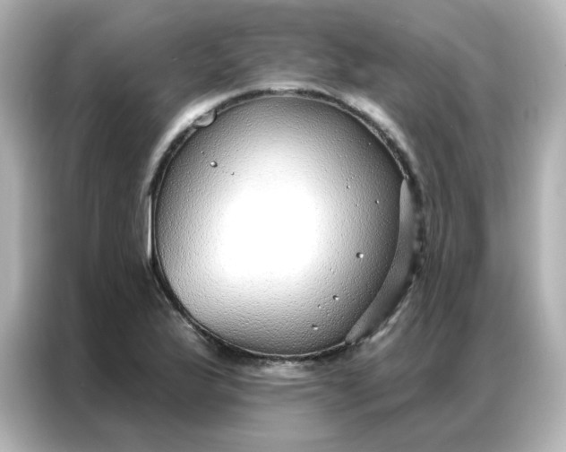 X0000086931175200704301111