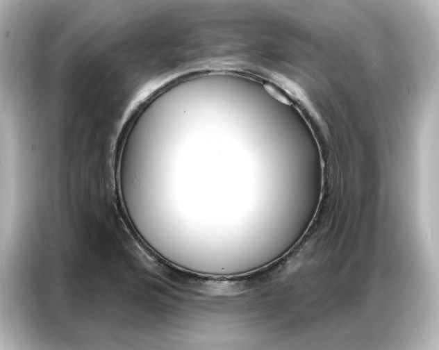 X0000086931176200704301111