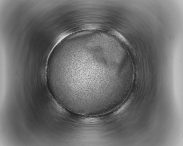 X0000086931178200704301111