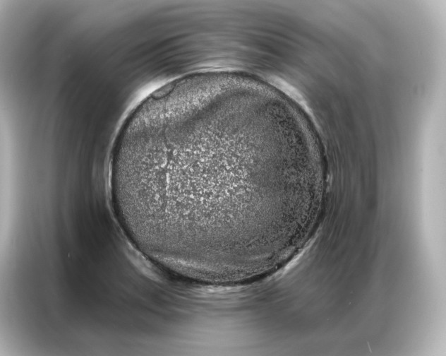 X0000086931179200704301111