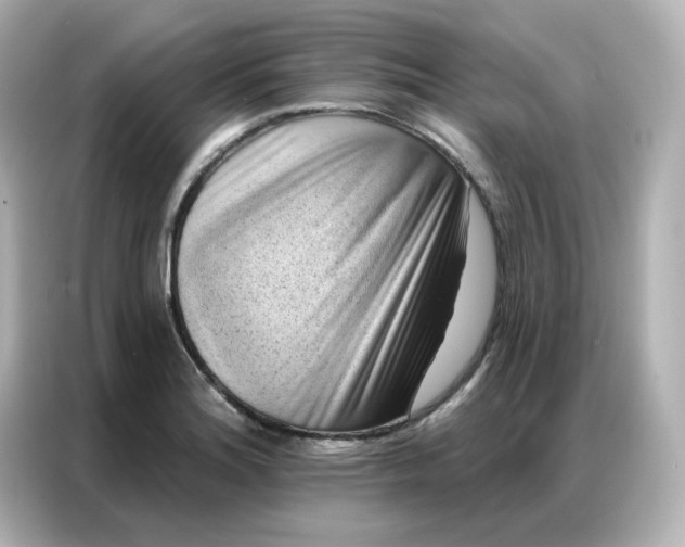 X0000086931180200704301111