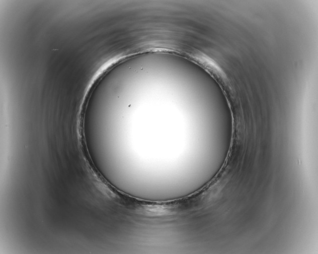 X0000086931182200704301111