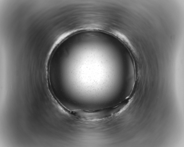 X0000086931184200704301111