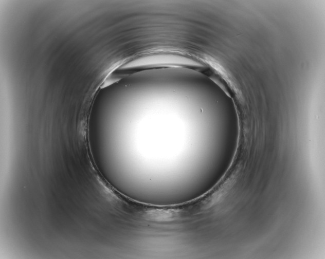 X0000086931185200704301111